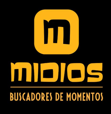 Midios logo